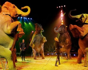 Farsă PLDM-PCRM, pentru a scăpa de PDM?